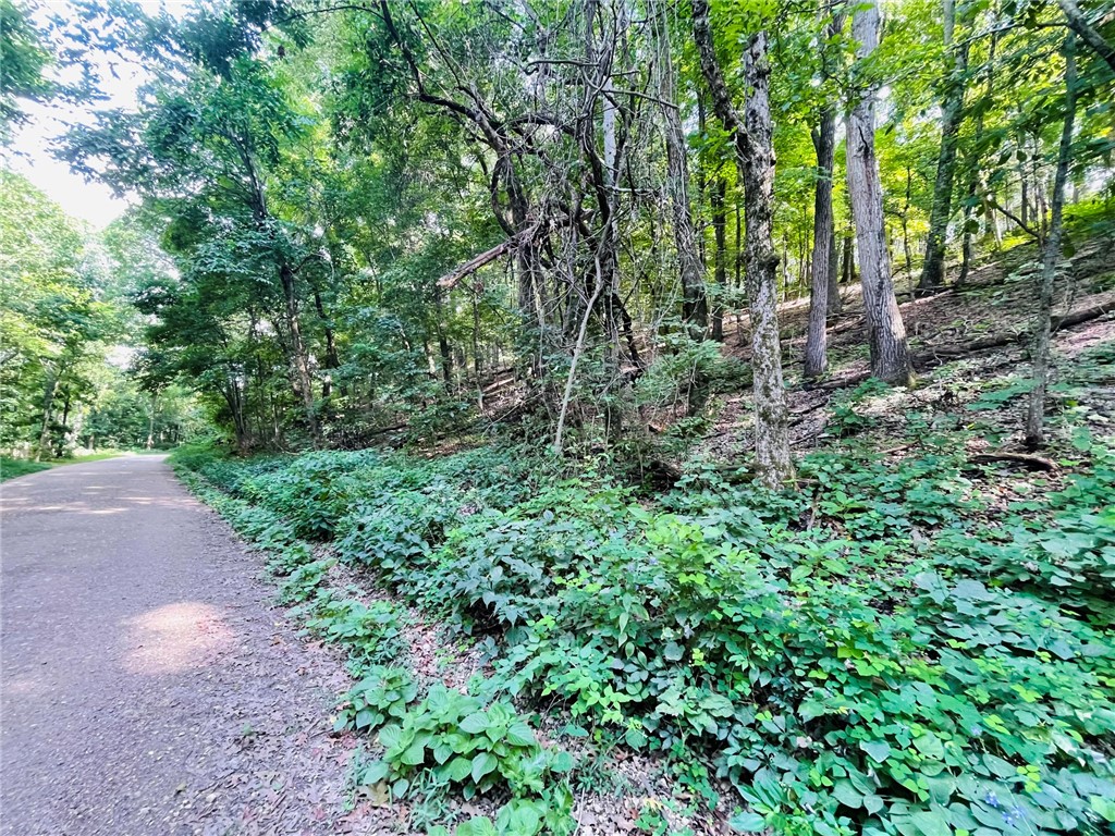MO ARK VIEW ESTATES - Land