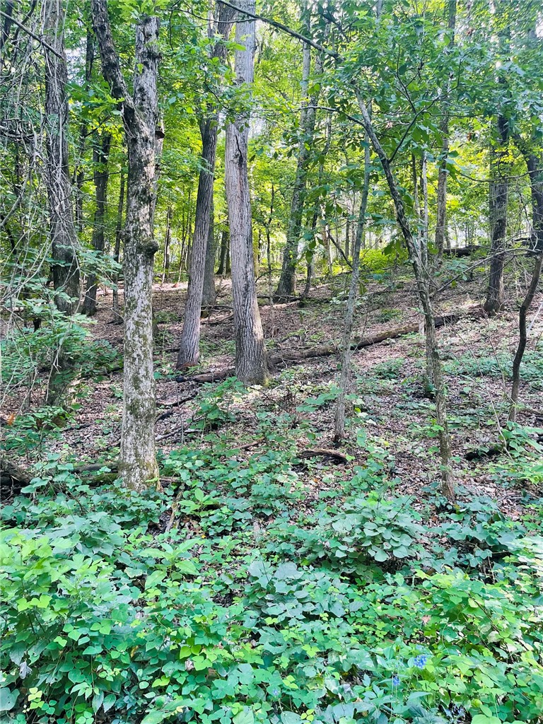 MO ARK VIEW ESTATES - Land