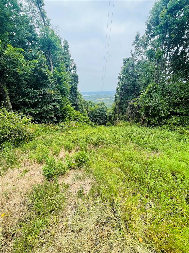 MO ARK VIEW ESTATES - Land