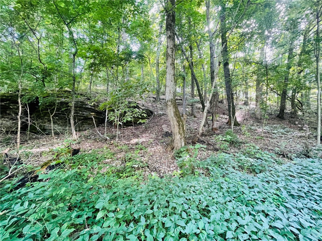 MO ARK VIEW ESTATES - Land