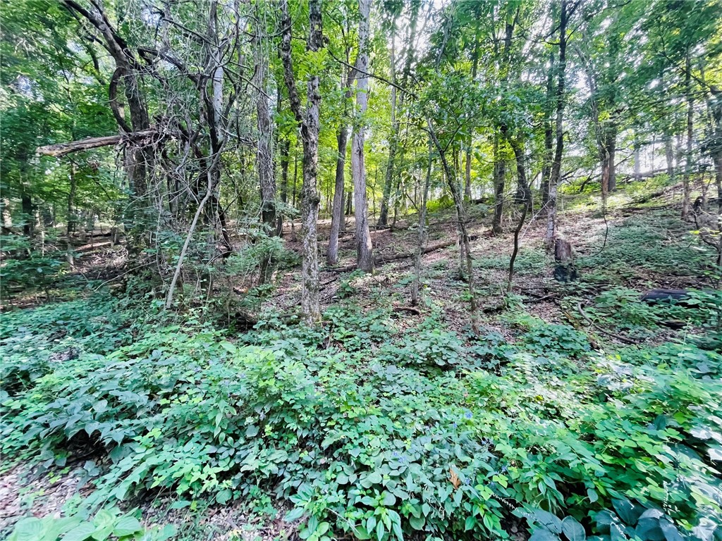 MO ARK VIEW ESTATES - Land