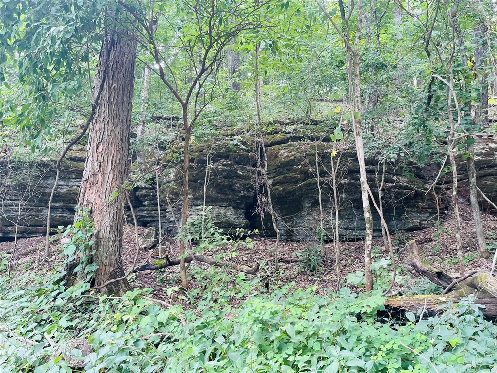 MO ARK VIEW ESTATES - Land