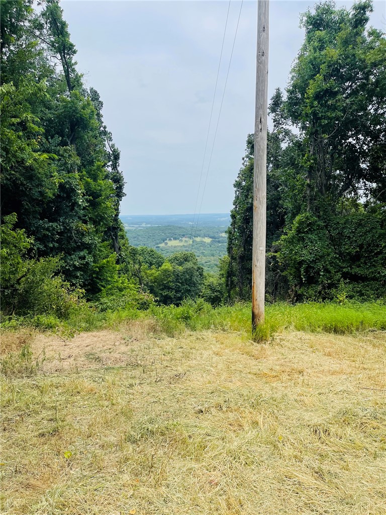 MO ARK VIEW ESTATES - Land