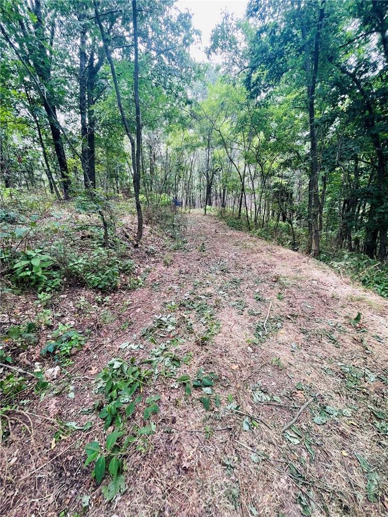 MO ARK VIEW ESTATES - Land
