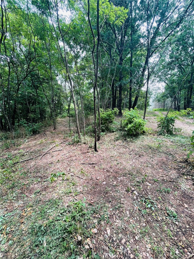MO ARK VIEW ESTATES - Land