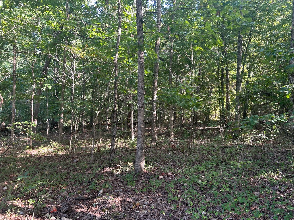 Great building lot. Very gentle slope for building on a quite cul-de-sac.  2005 perc test completed for 3 bedroom home but may need to be updated.  South facing lot minutes to Metfield clubhouse, fishing, biking, hiking, golf and Bentonville.  Many bike trails including Rago and Summit School trails 2 minutes away.  Very close to lake Brittany landing as well.. This is a must see property.