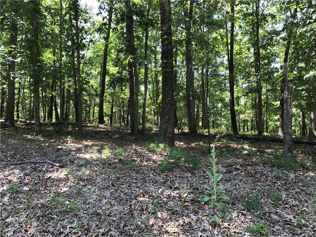 Whippoorwill Terrace Rurban - Land