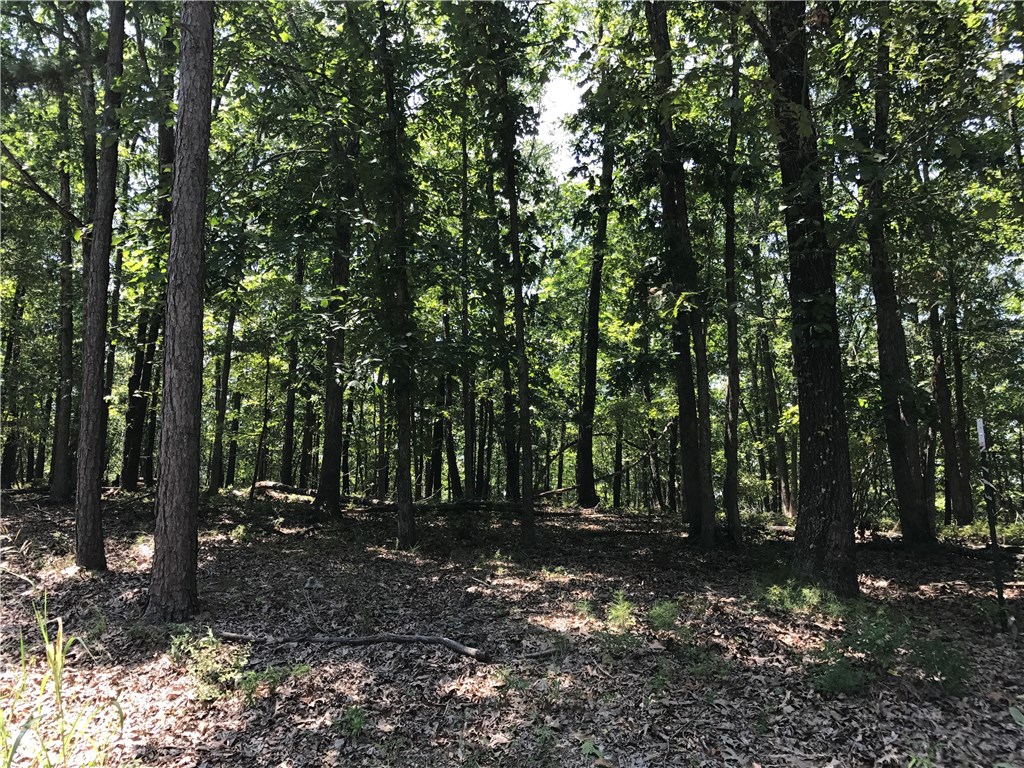 Whippoorwill Terrace Rurban - Land