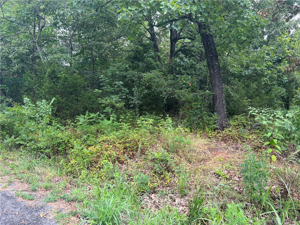 Perc-Tested for a 3-4 Bedroom! Nestled in the peaceful Highlands Golf Course with a view of the greens.  Super buildable, FLAT lot!  Bella Vista is surrounded by hundreds of mile of trails, swimming pools, lakes golf courses and spring fed watering-holes, water falls, All The Things!  Own a piece of the Ozarks and build your dream home!