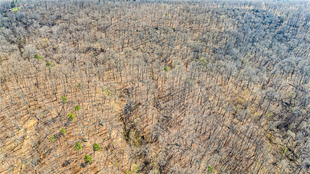 - - Land