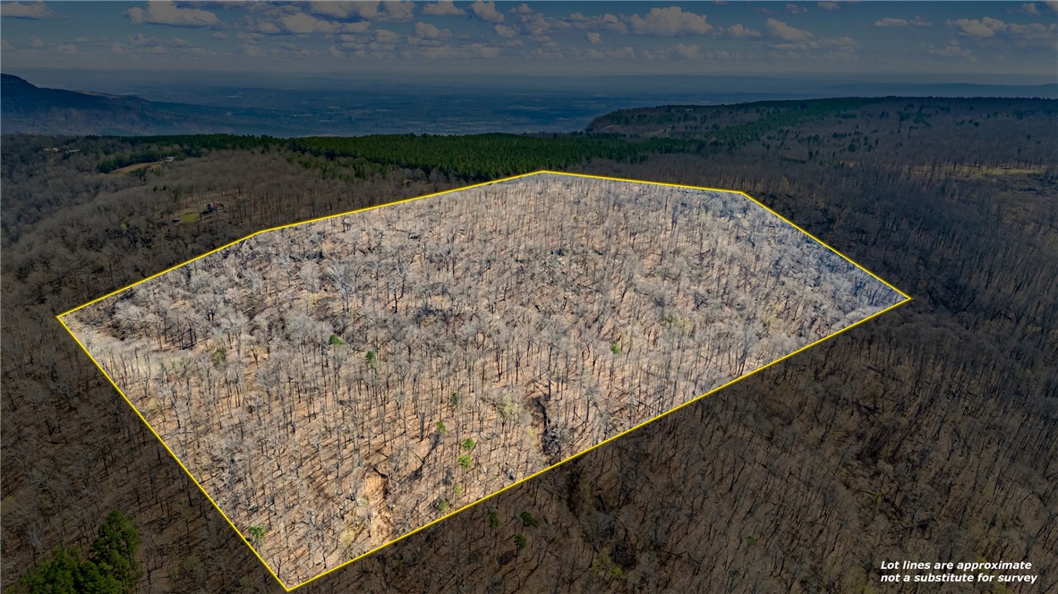 40± acres located on Spring Mountain offering a rare combination of privacy, panoramic views, and recreational opportunity. With sloping mountain terrain and multiple potential building sites -this property provides an ideal setting to take in the remarkable views of the River Valley. Abundant wildlife including deer, turkey, and bear makes this an excellent hunting or recreational tract. Enjoy the peace and seclusion of being tucked away with minimal neighboring properties. Located in Logan County with access via Hwy 27 from Dardanelle. $600 annual Spring Mountain Road Fund fee applies. Agents must contact listing agent for access.