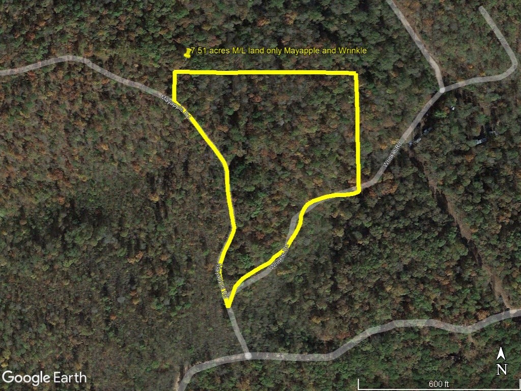 If you are looking to build a cabin in the woods of North Central Arkansas in the Ozarks Mountains, consider this 7.51 acre tract. This property is only 0.25 miles (walking distance) from the border of Buffalo National River boundary line at the end of Mayapple Road where you have access to thousands of acres in which to hunt, hike, explore, ride horses and camp and then you are only 1.75 miles to the river's edge on a well maintained road where you will find a canoe/kayak launch site where you can enjoy more recreational activities such as floating, swimming and fishing on the beautiful Buffalo River. This tract is mostly level with some slope to it but plenty of level area for a cabin, house or travel trailer. Electric lines are nearby but will need to get permission to attach to the neighbor's power pole. A water well would need to drilled as the rural water lines are pretty far away.