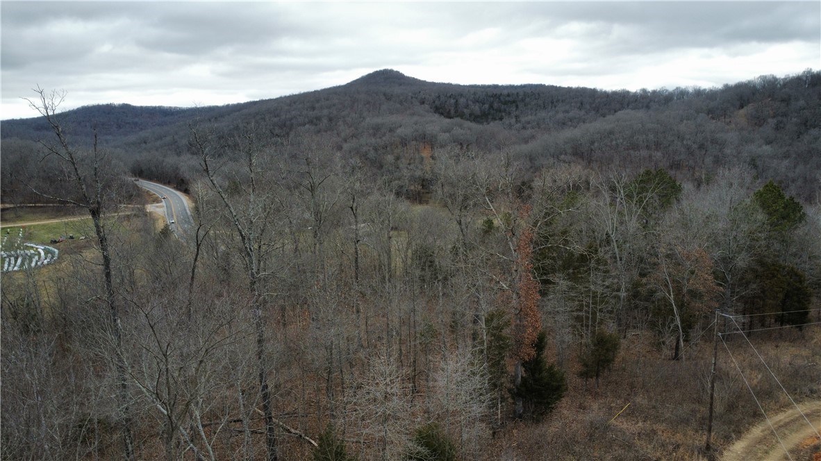 Discover your own slice of the Ozarks with this beautiful 23.5-acre wooded property in Green Forest, AR. With no deed restrictions, you have the freedom to make it your own; a private homestead, a weekend getaway, or a prime hunting retreat. A perfect blend of seclusion and convenience, featuring frontage on Hwy 412 for easy access. The land is covered in hardwoods, providing both beauty & natural privacy. With just a bit of clearing, you’ll unlock panoramic views of the Ozark Mts, the ideal backdrop for your future dream home or cabin. Outdoor lovers will appreciate the abundant wildlife and recreational potential this property provides. Only 15 min from Alpena and 30 min from Berryville, Huntsville, or the famous elk viewing in Boxley Valley, you can enjoy the best of both worlds: peaceful country living with easy access to nearby amenities and attractions. Whether you’re seeking a recreational tract, a hunting property, or a future home site with a mountain view, this parcel offers unmatched potential.