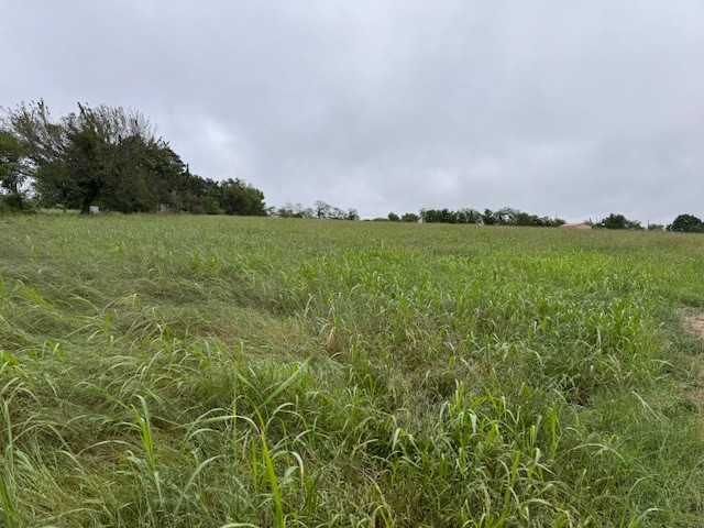 10 acres! Great piece for some type of commercial or residential facility. Open land & level. Outside city limits of Lincoln. Agent owned