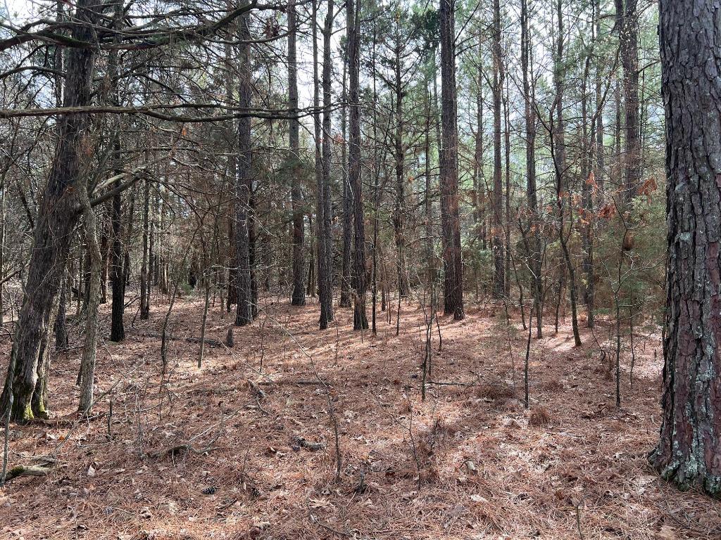 Location, Location, Location....This 1.23 acre lot is a perfect place to build that secluded lake cabin. It sits right across the road from the corp line of beautiful Bull Shoals Lake.