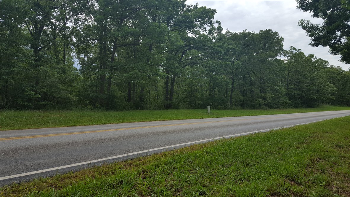 2.36 acres, room to build at Mt Olive Rd or in the back of the lot. Power line easement divides the property running east to west. Property includes small ravine in center. Country living within a short drive to town. Water on Mt Olive on same side of road as lot.