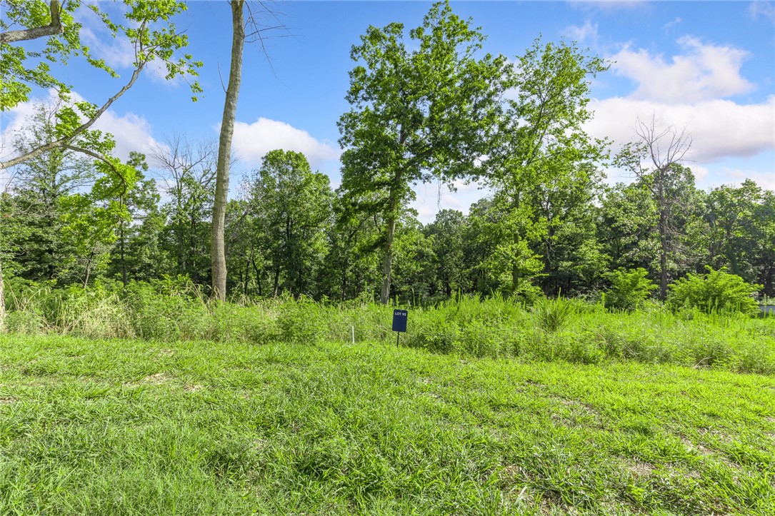 Round Mountain Estates - Land