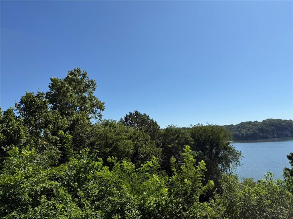 Two gorgeous partially cleared lots overlooking Beaver Lake. Lots offer lake view and lake front with being minutes from town and all roads are paved to property. The lots are located in a desirable neighborhood on a dead-end street near private boat ramps. Not suitable for residential septic. Excellent spot to park your RV with family and friends for cook outs and lake frontage access.