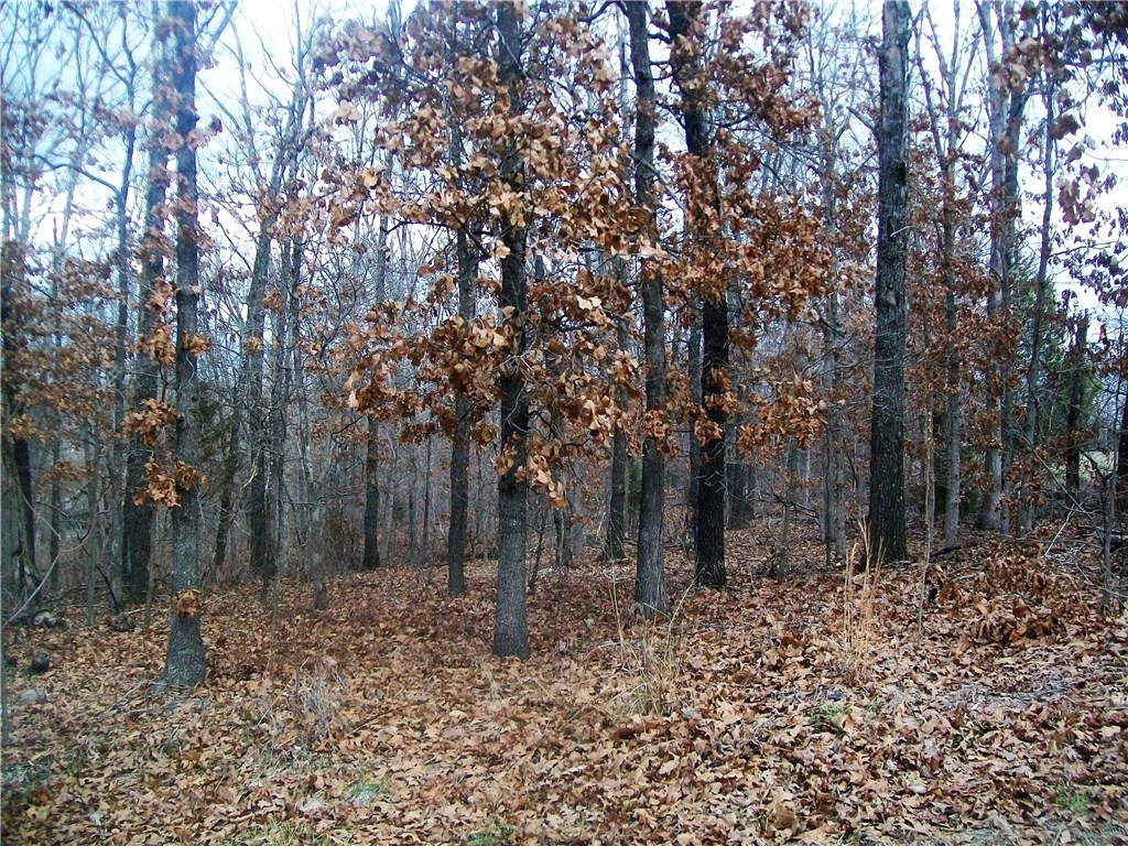 Great Place to build your dream home!  Close to Brittany Lake, Fire Station, Golf and Swimming! Trail right in your back yard! Lot is on corner of Trafalgar and Sutherland.