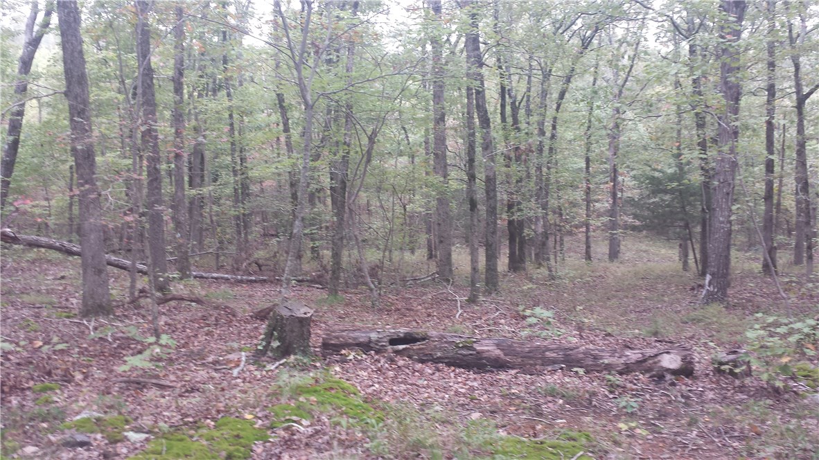 Deer land - Residential
