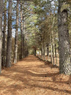 WALK TO THE LAKE ! COME BUILD YOUR DREAM HOME ON MARINA ROAD ! Do not access property without agent.