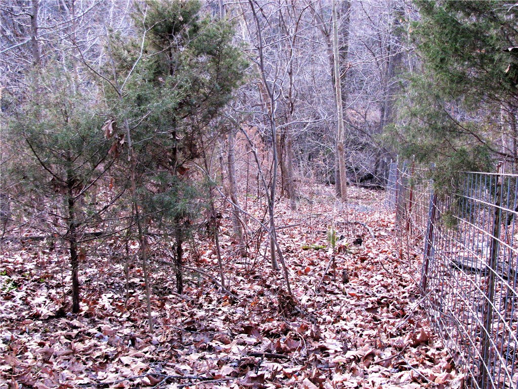 rural - Land