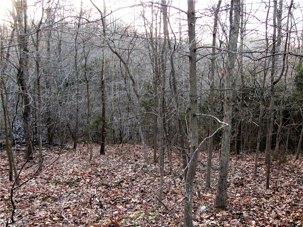 rural - Land