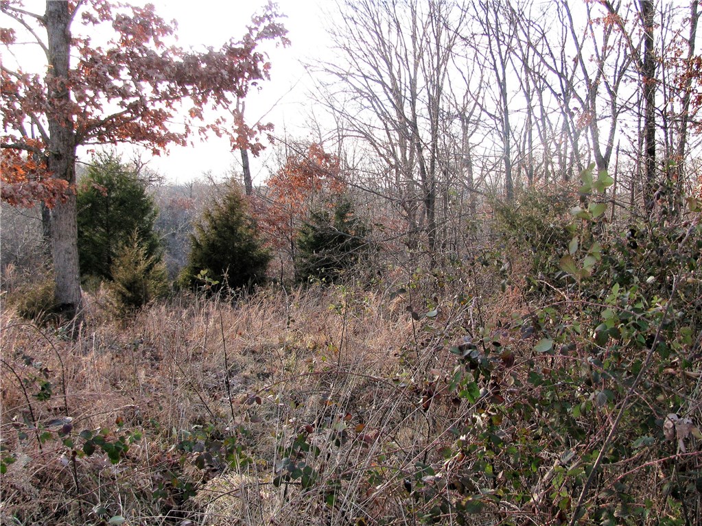 rural - Land