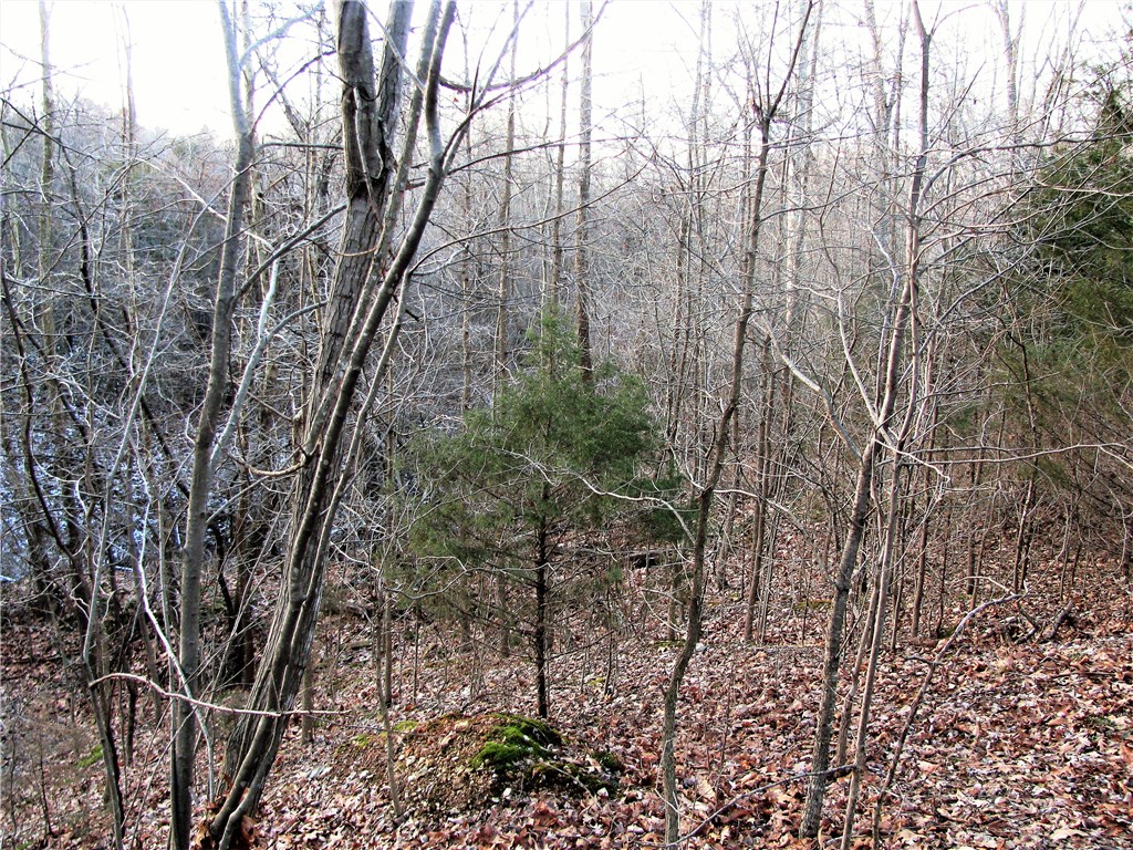 rural - Land