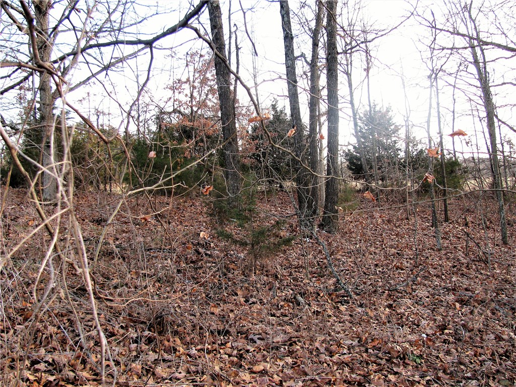 rural - Land