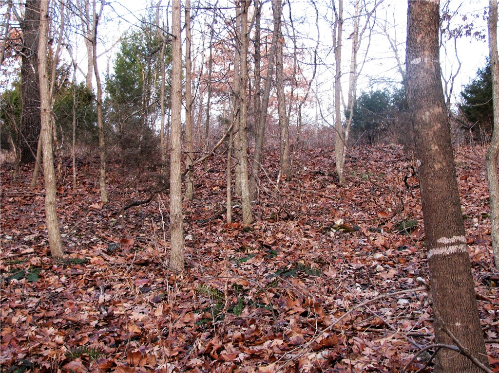 rural - Land