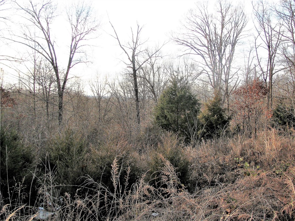 rural - Land
