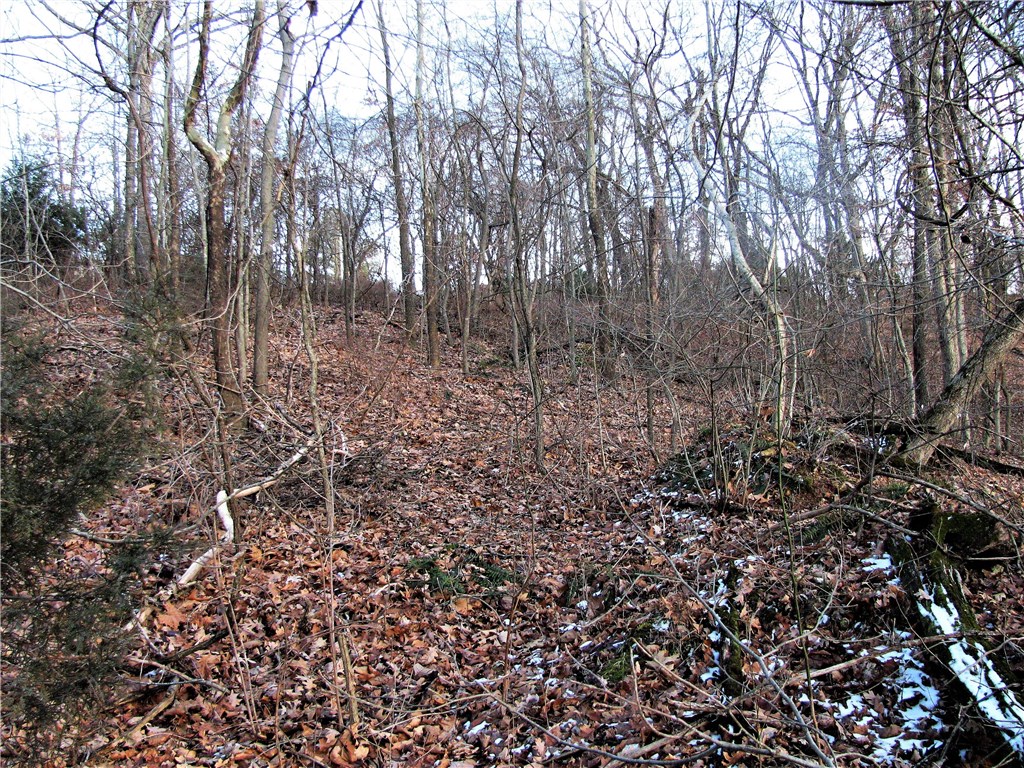 rural - Land