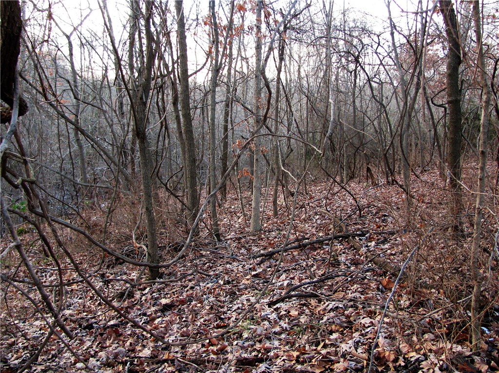 rural - Land