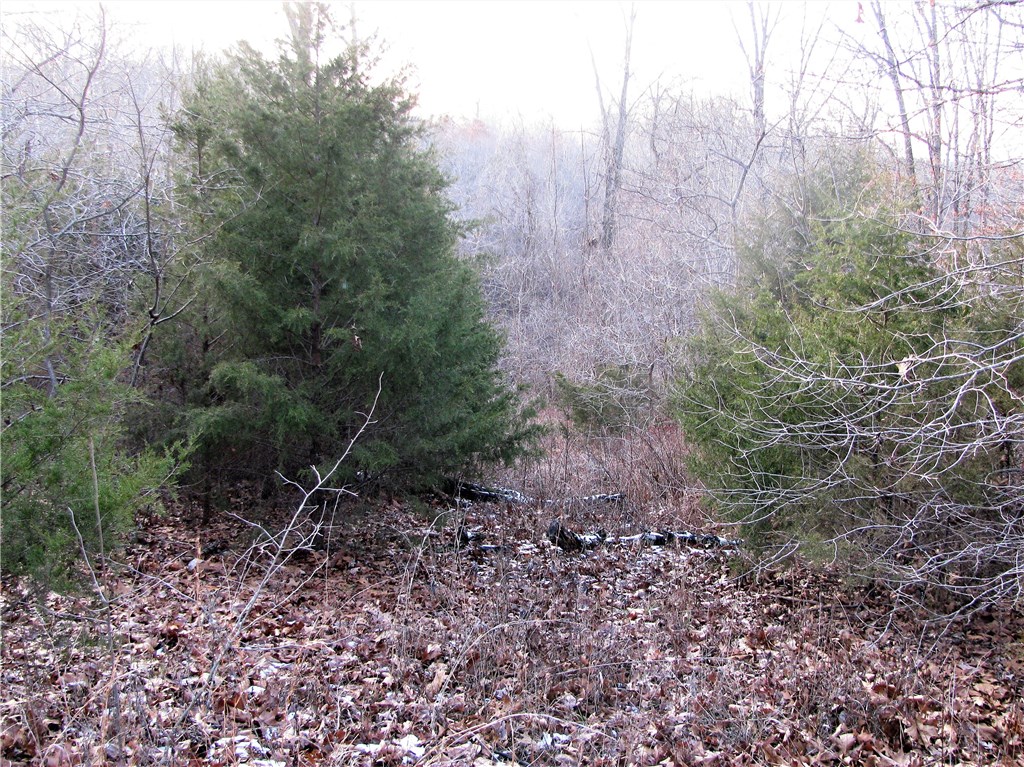 rural - Land
