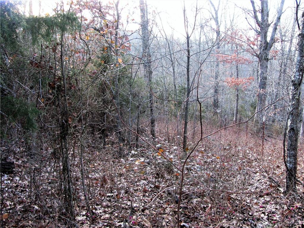 rural - Land