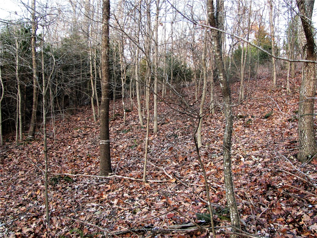 rural - Land