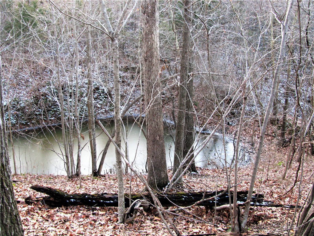 rural - Land