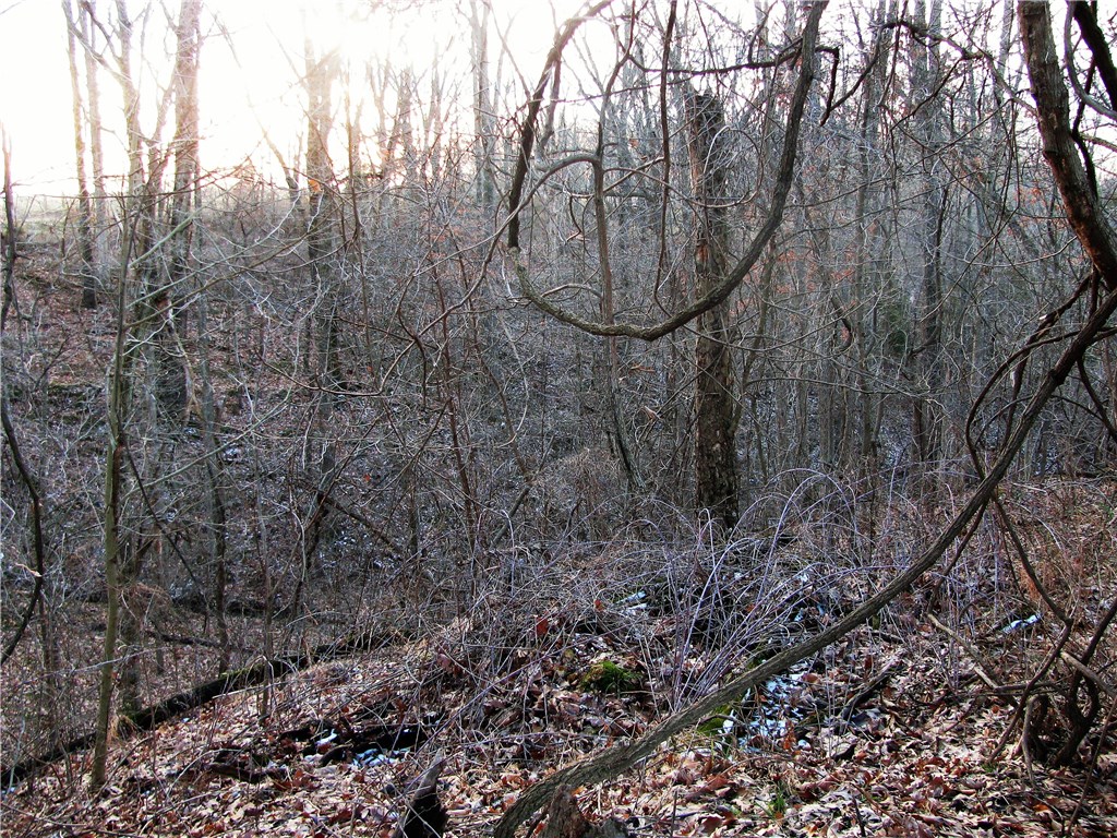 rural - Land