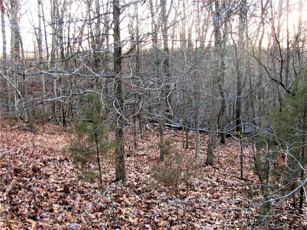 rural - Land