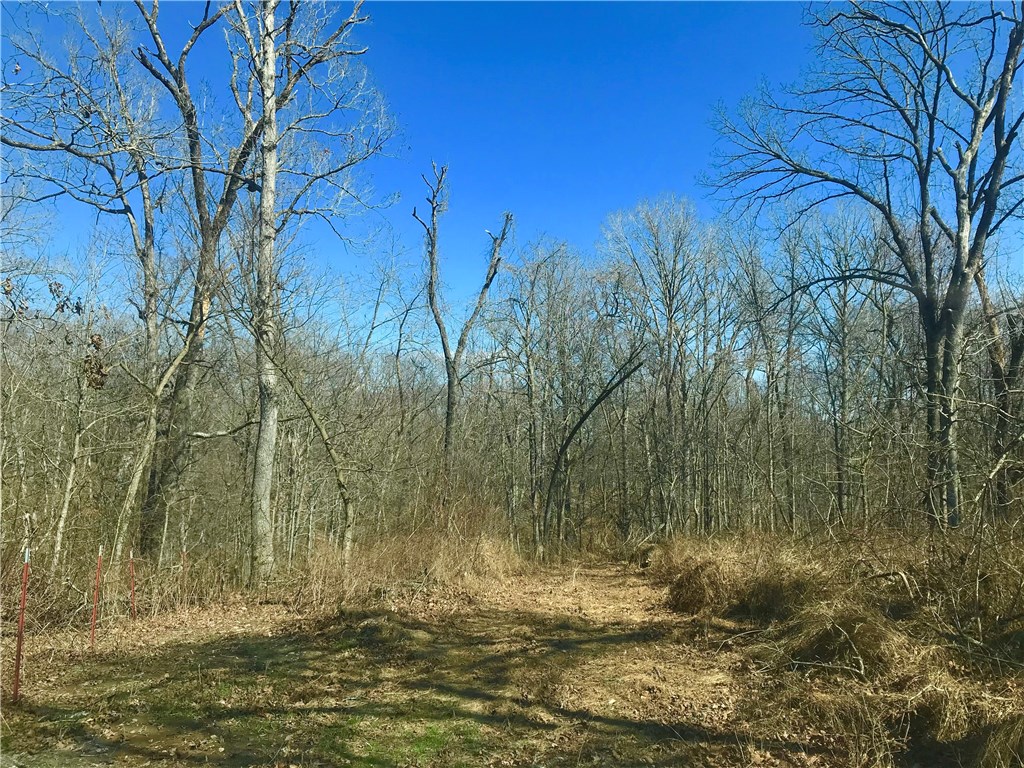 29-20-33-Rural - Land