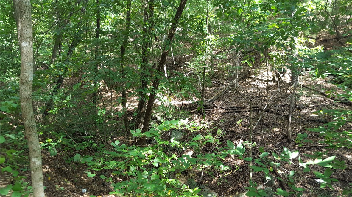 08-19-28-RURAL - Land