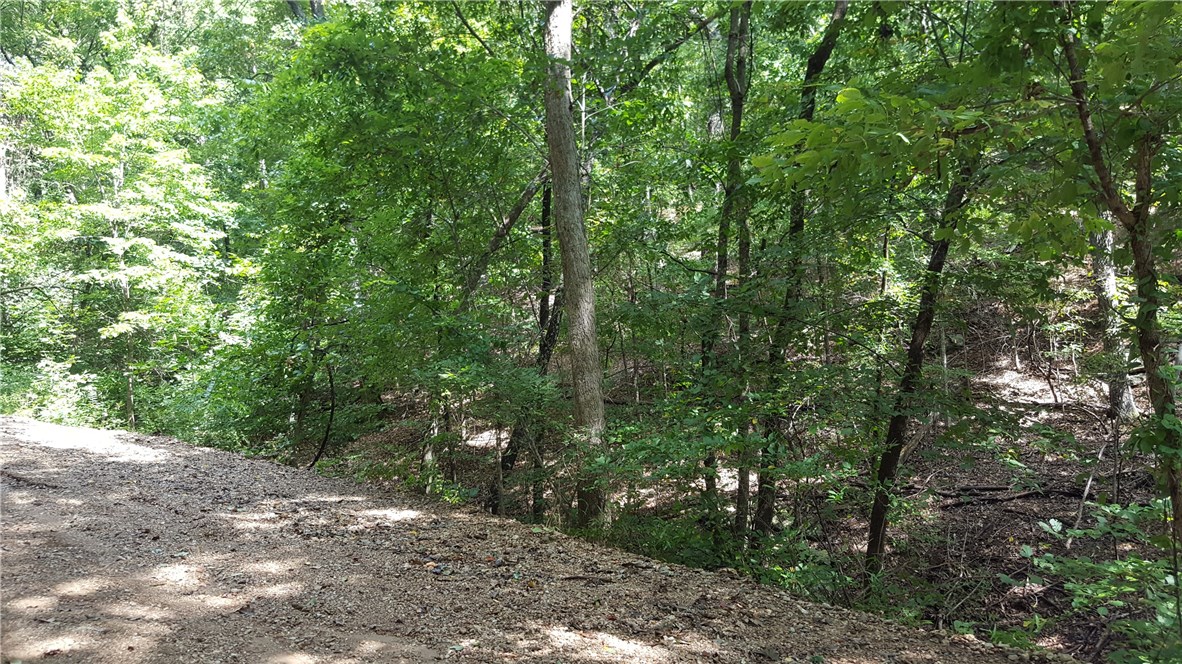 08-19-28-RURAL - Land