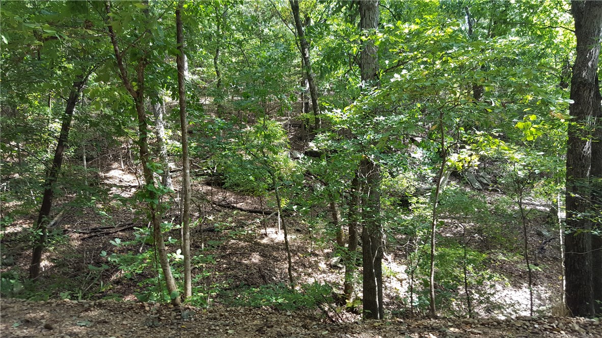 08-19-28-RURAL - Land