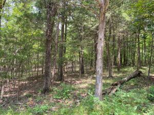 Enjoy seclusion in a lakeside community. this 70 x 110  has large trees with sparse houses close to it. If you are looking for privacy all while enjoying the amenities of a lakeside community, don't miss this one. 1000 SF minimum build restriction.