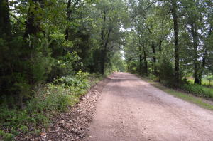This wooded lot provides all the privacy you've been looking for. Enjoy the woodsy outdoors. From this property you're just a short drive to Lake Bull Shoals. Only about 25 minutes to Harrison or approximately 35 minutes to Branson.