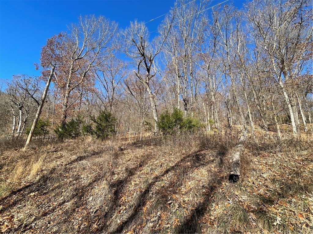 Wooded lot containing 0.492 acres.  This lot slopes uphill.  Several flatter spots good for building on.  Pretty secluded.  Nice valley view.  Utilities at the road.  Located in Unit 2 of Holiday Island, this lot does have a building restriction of 1000 sf minimum heated/cooled living space.  Contact listing agent for more information.