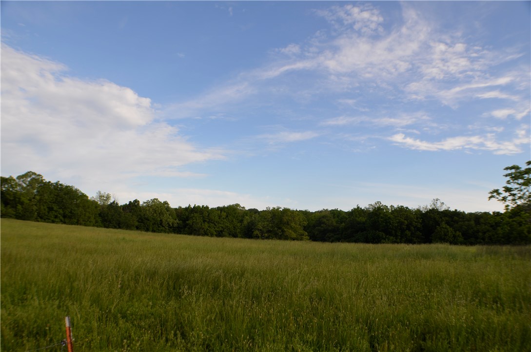 Build your dream home here....and have room for a few farm animals.  13.5 Acres with rural water at the street, could be yours. Its a beautiful property just waiting for a family to enjoy.