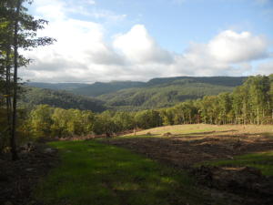 Perfect location to build  your home with a view.  Just a short drive from Jasper, excellent hunting property with a view you will never want to leave. Electric is available and well on the property. Very nice mixture of timber and with Henson Creek running across the northwest corner of the property.  This property has something for everyone.