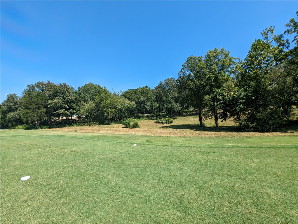 Beautiful, large golf course frontage lots located on the 4th Tee box on Highlands Golf Course and near Lake Loch Lomond marina! Build your beautiful dream home on one of this lot .  Located near the end of Pamona Dr. this property is secluded but near the bypass for easy access into Bentonville.  Escape the hustle and bustle and own a piece of Ozark tranquility.